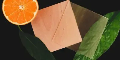See-through wood made with citrus derivative