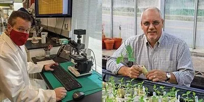 Nematologists involved in research
