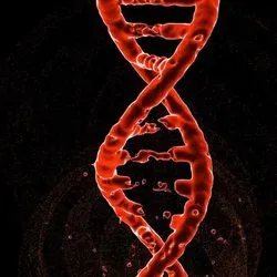 image of DNA to represent gene editing and CRISPR