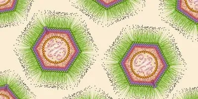 mimivirus, an example of a giant virus