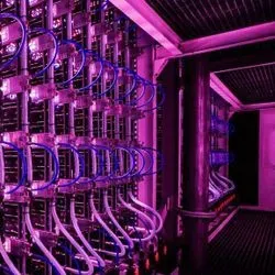 Example future food farming system