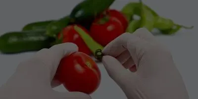 Food Safety and Quality Control