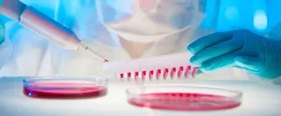 Upstream Bioprocessing: Innovative Trends and Developments in Cell Line Development (hero image)