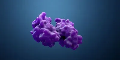 visual model of protein molecule