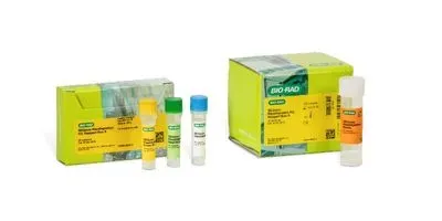 Bio-Rad SEQuoia RiboDepletion Kit for Next-Generation Sequencing