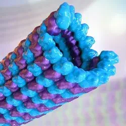 3D Image of a microtubule in a cell