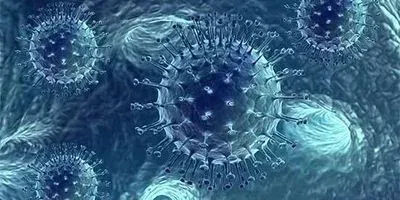 AMSBIO Image of cells