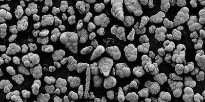 At the Cretaceous-Paleogene boundary, not only dinosaurs went extinct. The loss of species in the upper part of the ocean had profound impacts on its diversity and function. Image shows small deprived Cretaceous fauna after the extinction.
