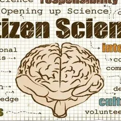 Image of a brain with writing around it