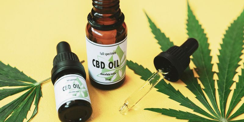 People with Fibromyalgia Are Substituting CBD for Opioids to Manage Pain |  Lab Manager