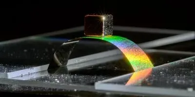 This strip of metallic wood, about an inch long and one-third inch wide, is thinner than household aluminum foil but is supporting more than 50 times its own weight without buckling. If the weight were suspended from it, the same strip could support more than six pounds without breaking.