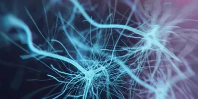 Image of neurons connecting