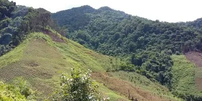 Forests cleared for agriculture on Vietnam mountains