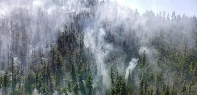 Beachie Creek fire 2020 when it was still small.