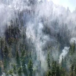 Beachie Creek fire 2020 when it was still small.