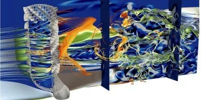 Hydrodynamic field inside and outside the skeletal structure of the Euplectella aspergillum glass sponge. The field was reconstructed using CINECA super-computers. Kinetic methodologies and advanced computational codes have allowed to accurately reconstructing the living conditions of the depth sponges, highlighting their remarkable structural and fluid dynamic properties.