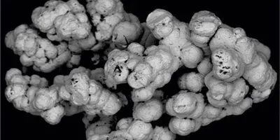 Selenium May Support Deep Microbial Life in Earth’s Continental Crust (article image)