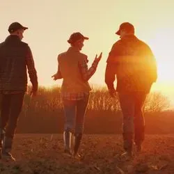 Farmers walking towards a sunset in a field