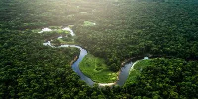Image of the amazon