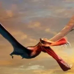 Artist’s impression of the fearsome Thapunngaka shawi.