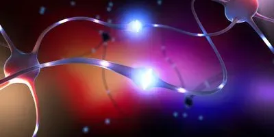 Image of neurons firing