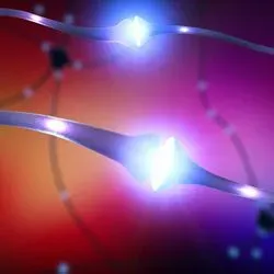 Image of neurons firing