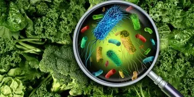 Magnifying glass over vegetables