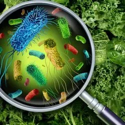 Magnifying glass over vegetables