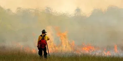 Image of a firefighter standing in front of a forest fire