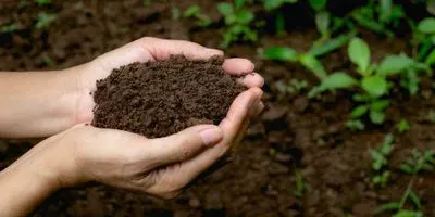Human hand scooping up healthy soil