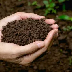 Human hand scooping up healthy soil