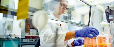 Female Researcher Preparing Tissue Cultures in Biological Safety Cabinet.