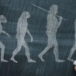 Image of evolution of man