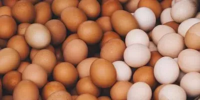 Image of eggs