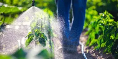 Farmer spraying crops with pesticide