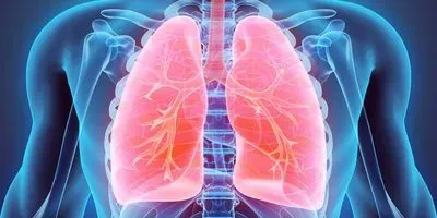 Graphic image of hman lungs glowing red