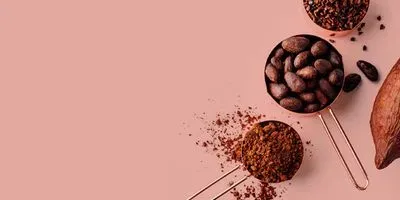 Image of cocoa beans in various states