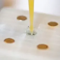 Engineers tested the sensor device on samples of orange juice that they spiked with glyphosate for the study.