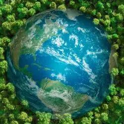 The earth in a bed of trees