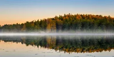 Photo of a lake near a forest