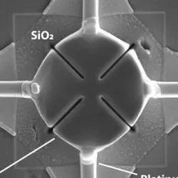 The slice of carbon fiber in the microelectric circuit is electrically connected to the gold/chromium electrodes with platinum/carbon electrodes.
