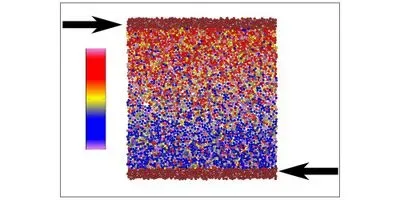 A snapshot of the researchers’ simulation showing orientational ordering under steady shear deformation. Colours code the orientation of the self-propulsion forces, e.g. blue for downward and red for upward; neighbouring particles tend to be oriented in similar directions.