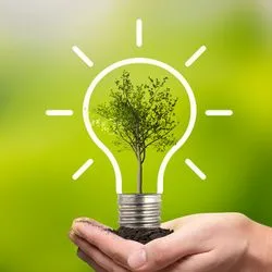 Hand holding a small tree with a lightbulb