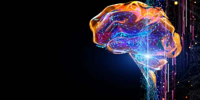 3D Image of a human brain