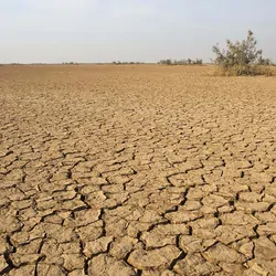 IOmage of dry land suffering from drought