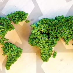 a world map mafe out of plant matter on a recycling symbol