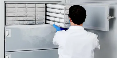 A scientist loading items into a cold storage freezer.