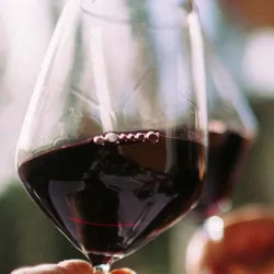 Two people holding glasses of red wine