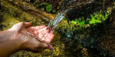 Hands collecting fresh water flowwing in a forest