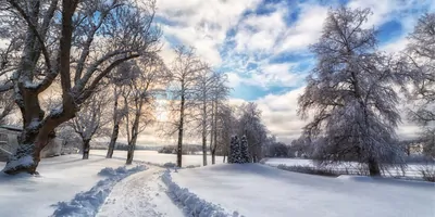 Image of a snow covered path
